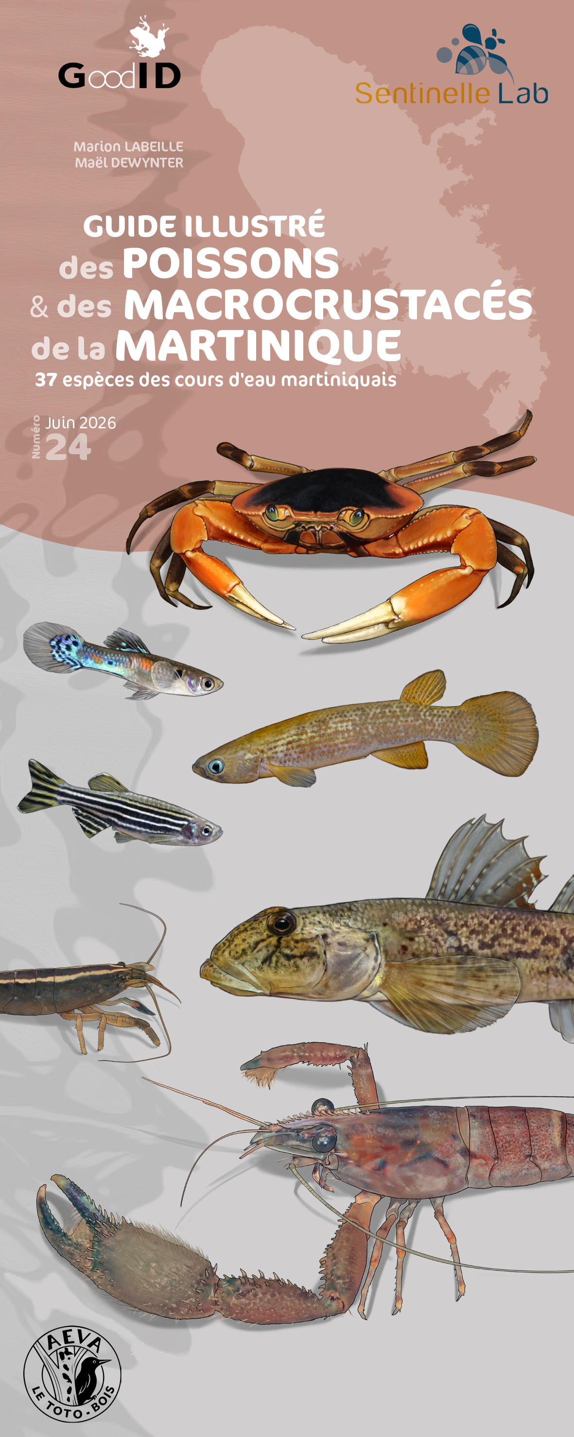 Guide illustré des poissons & macrocrustacés d’eau douce de la Martinique